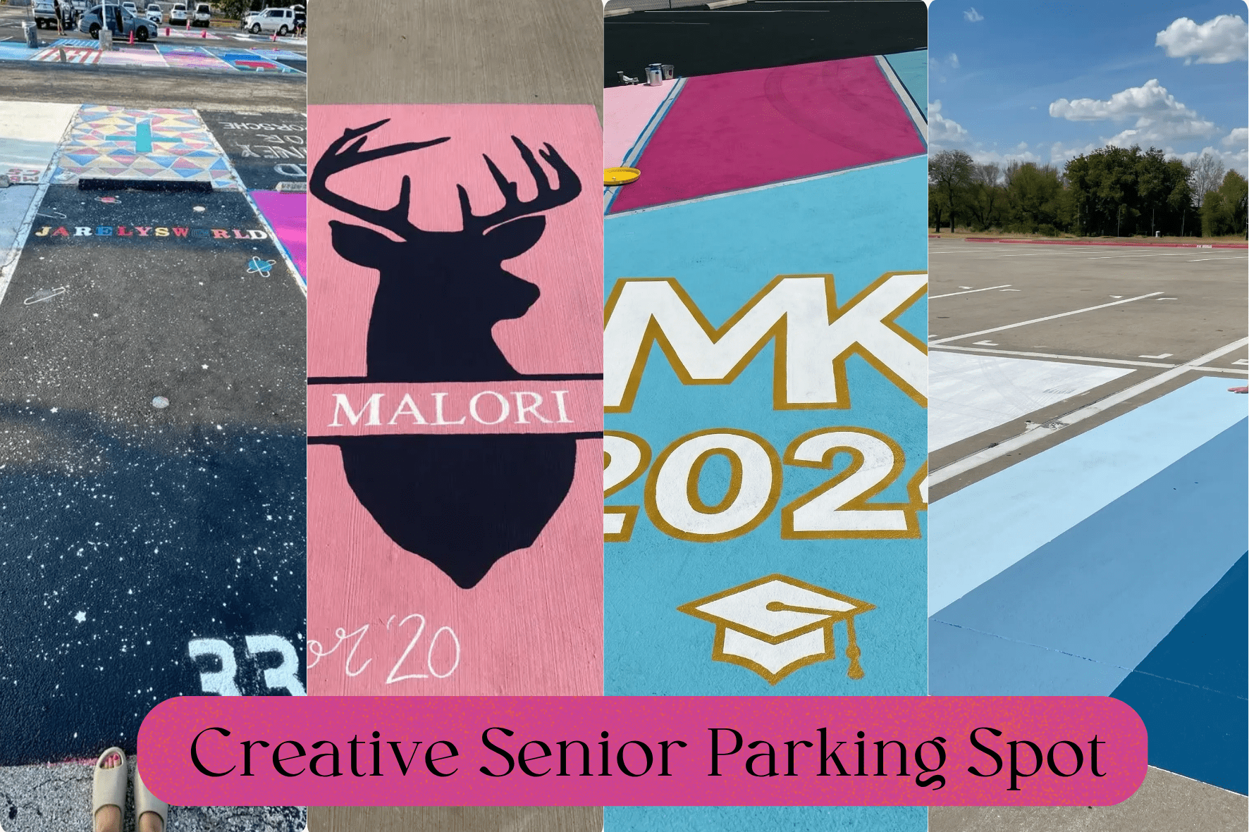 Creative Senior Parking Spot