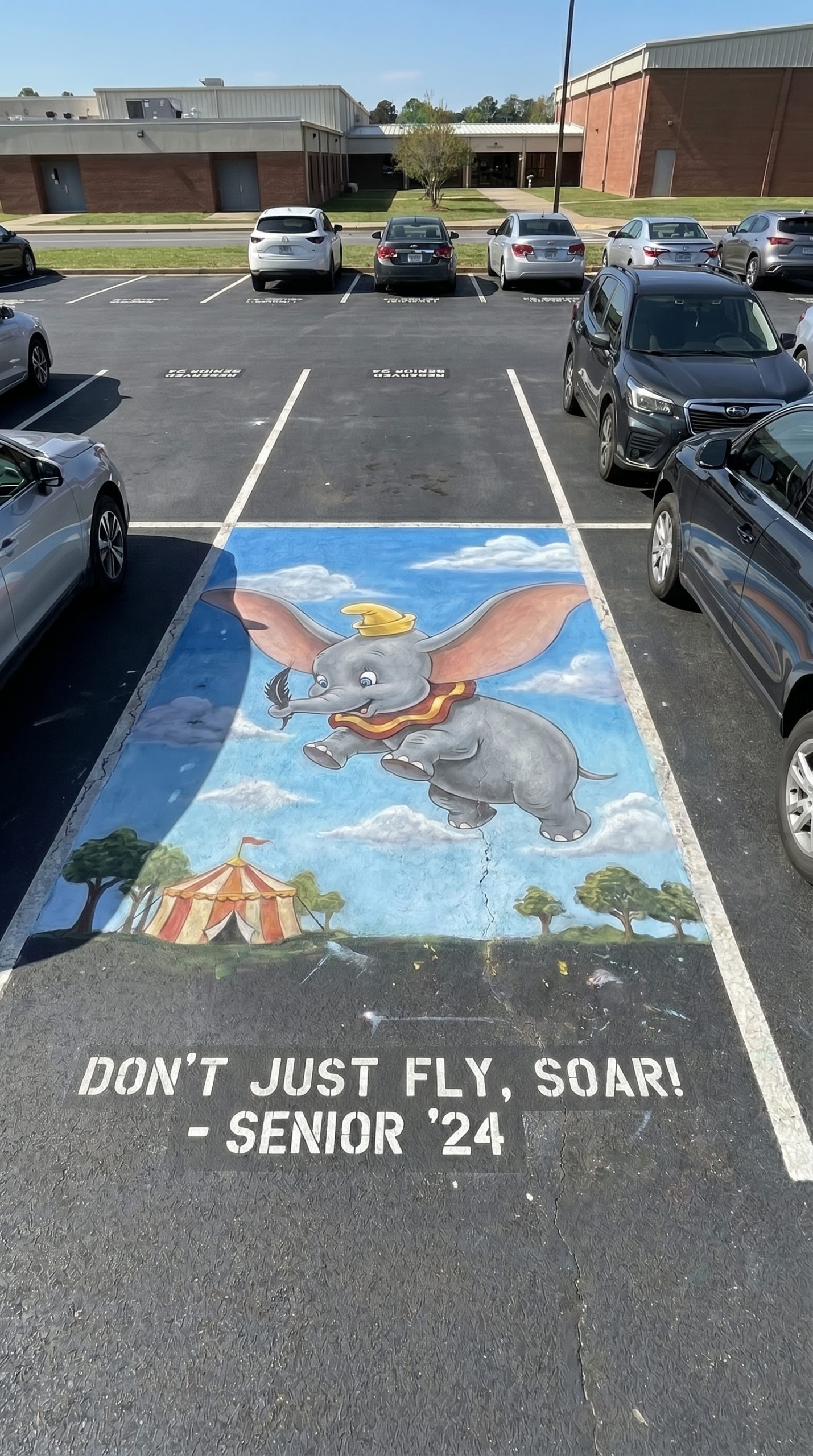 disney senior parking spot