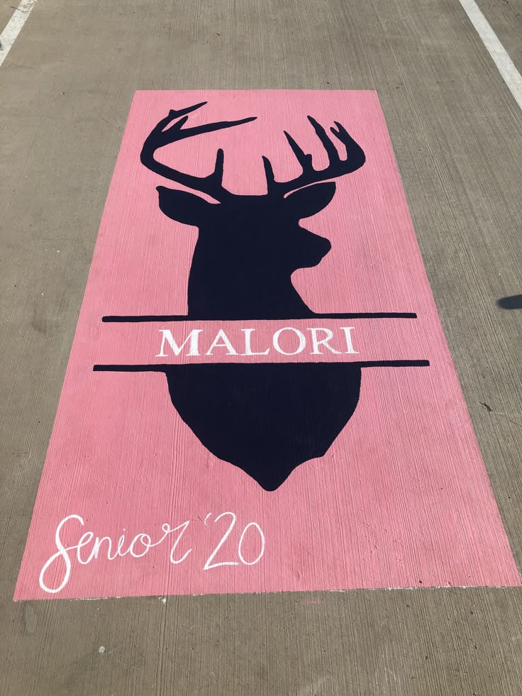 Creative Senior Parking Spot 