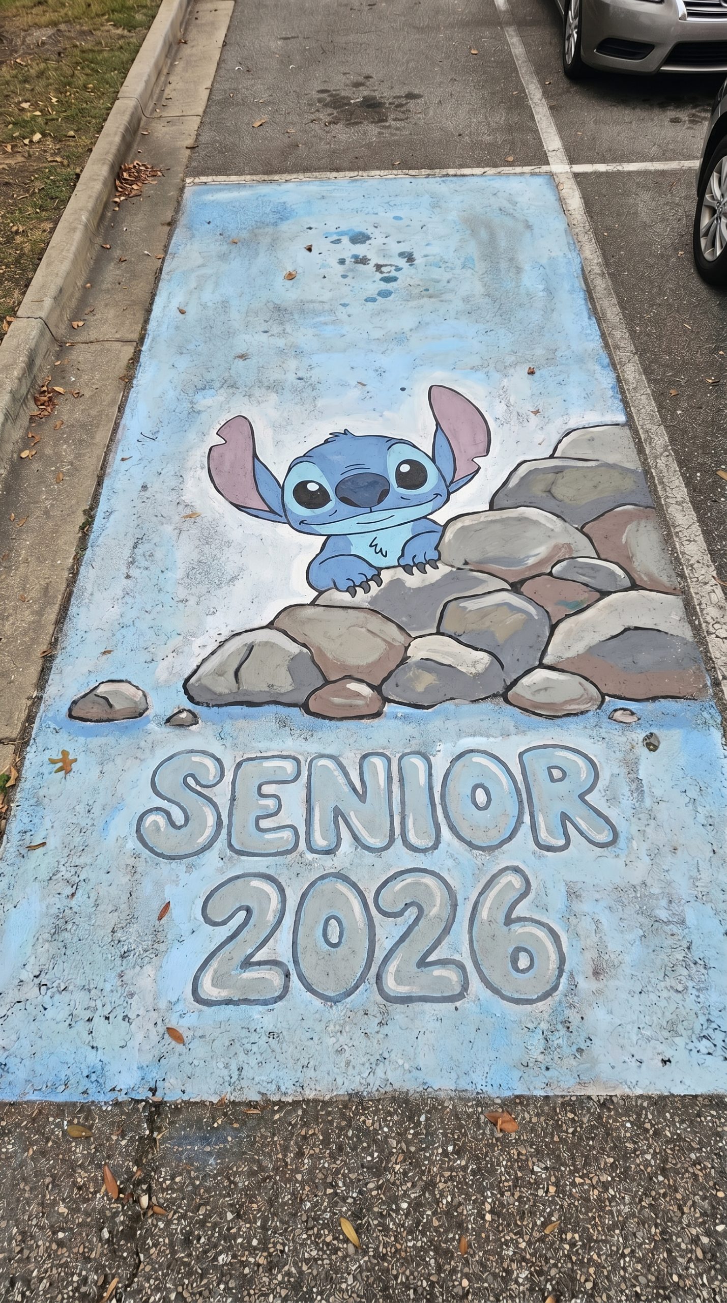 disney senior parking spot