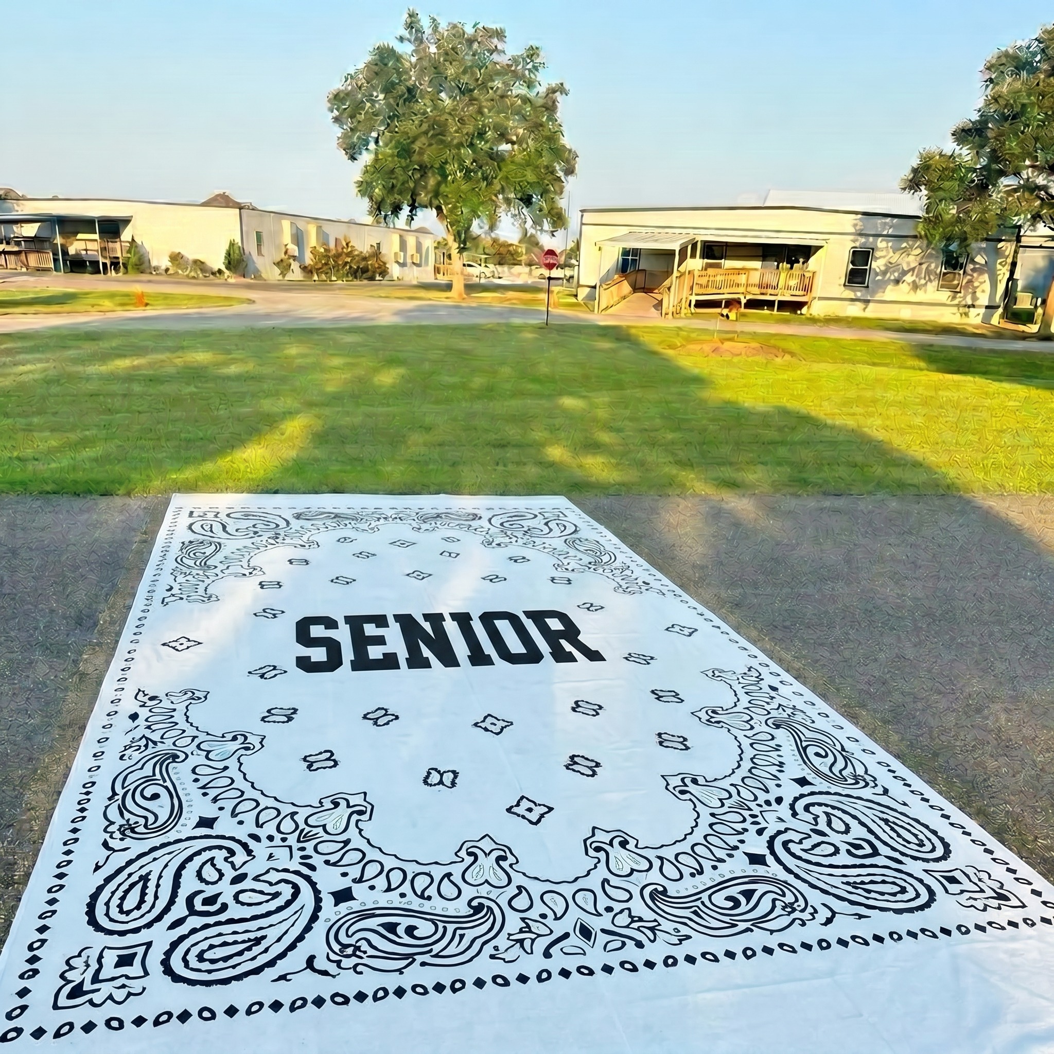 western senior parking spot