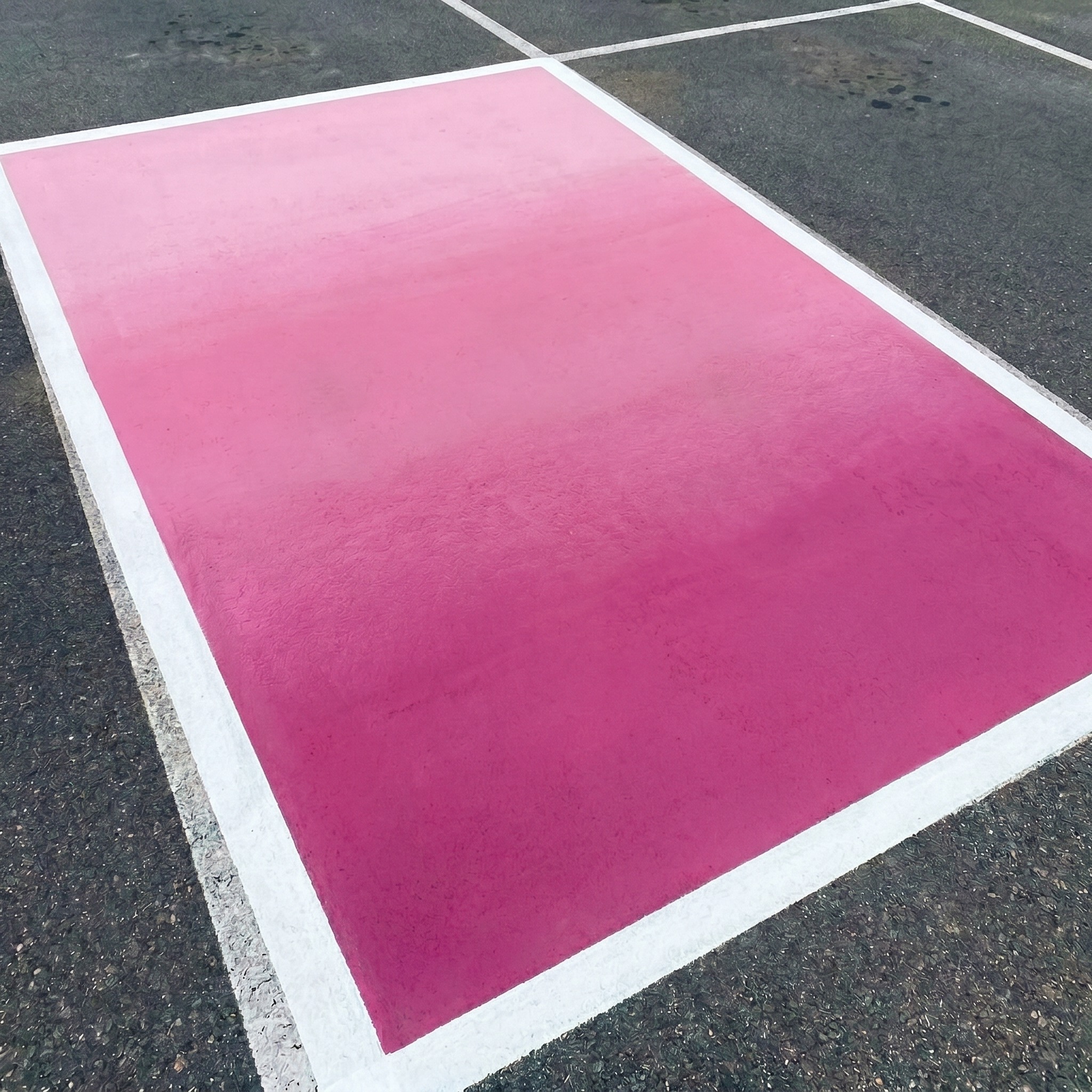girls senior parking spot