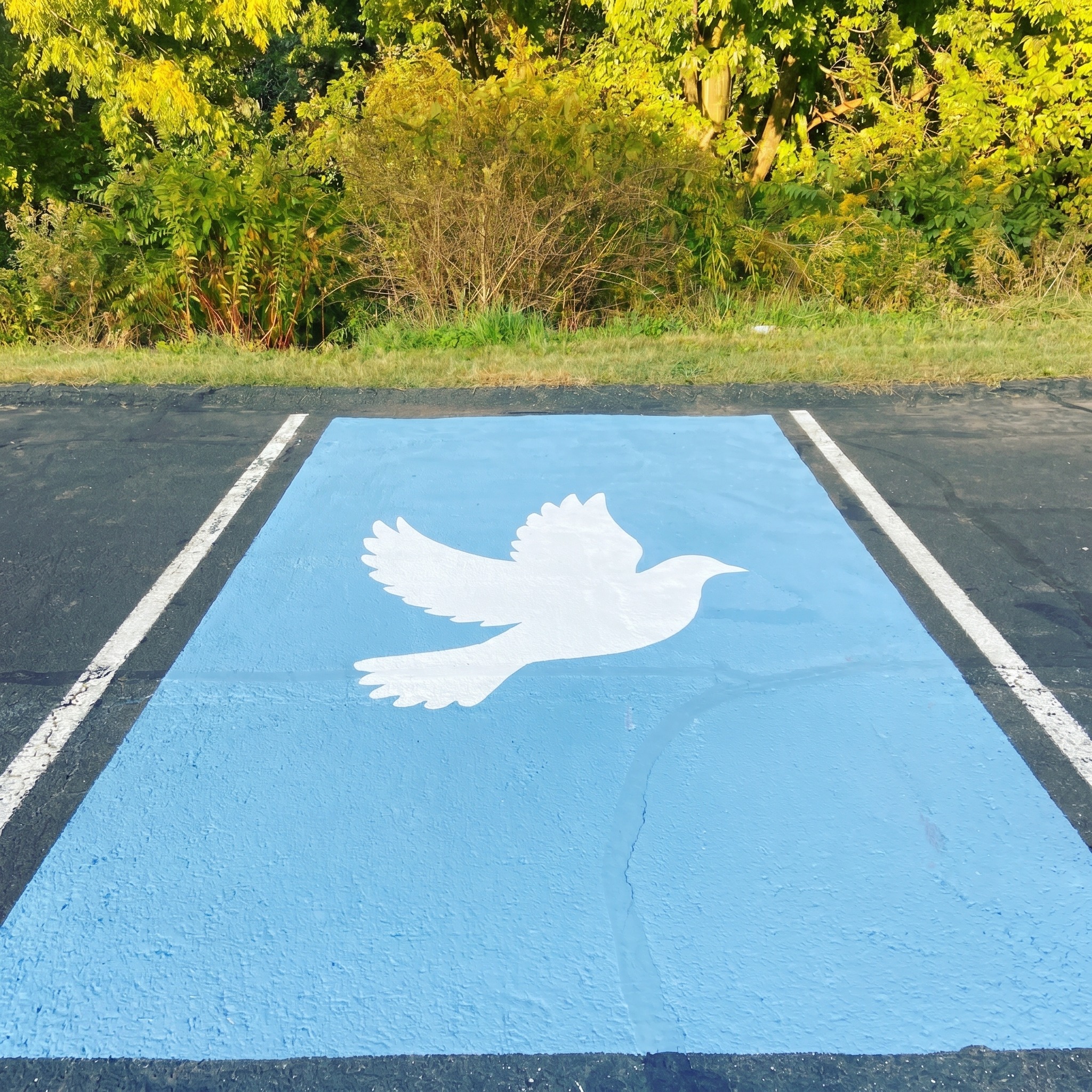 christian senior parking spot