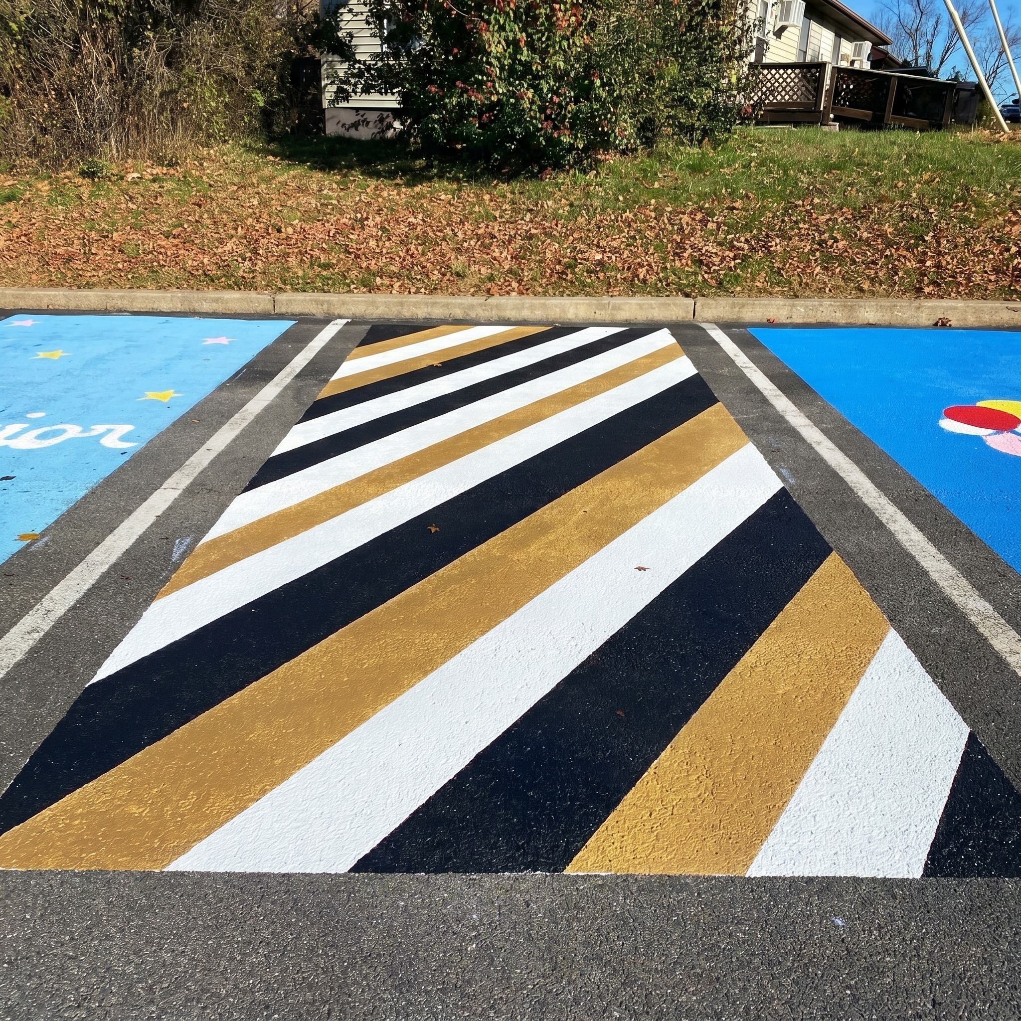 Aesthetic Senior Parking Spot
